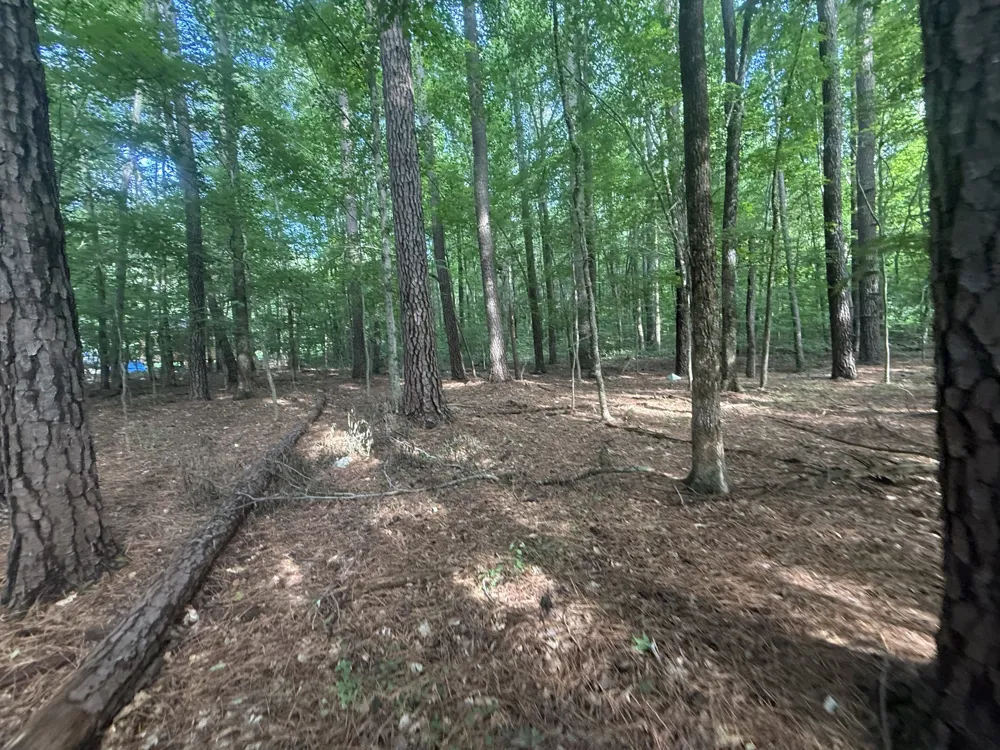 0 Caney Creek Rd Stewart, TN 37175
