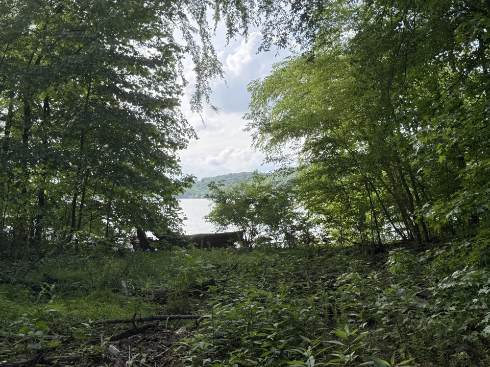 0 Caney Creek Rd Stewart, TN 37175