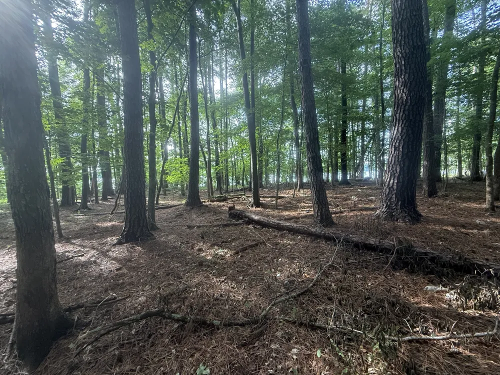 0 Caney Creek Rd Stewart, TN 37175