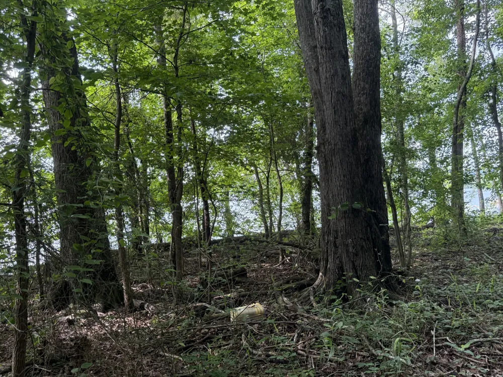 0 Caney Creek Rd Stewart, TN 37175