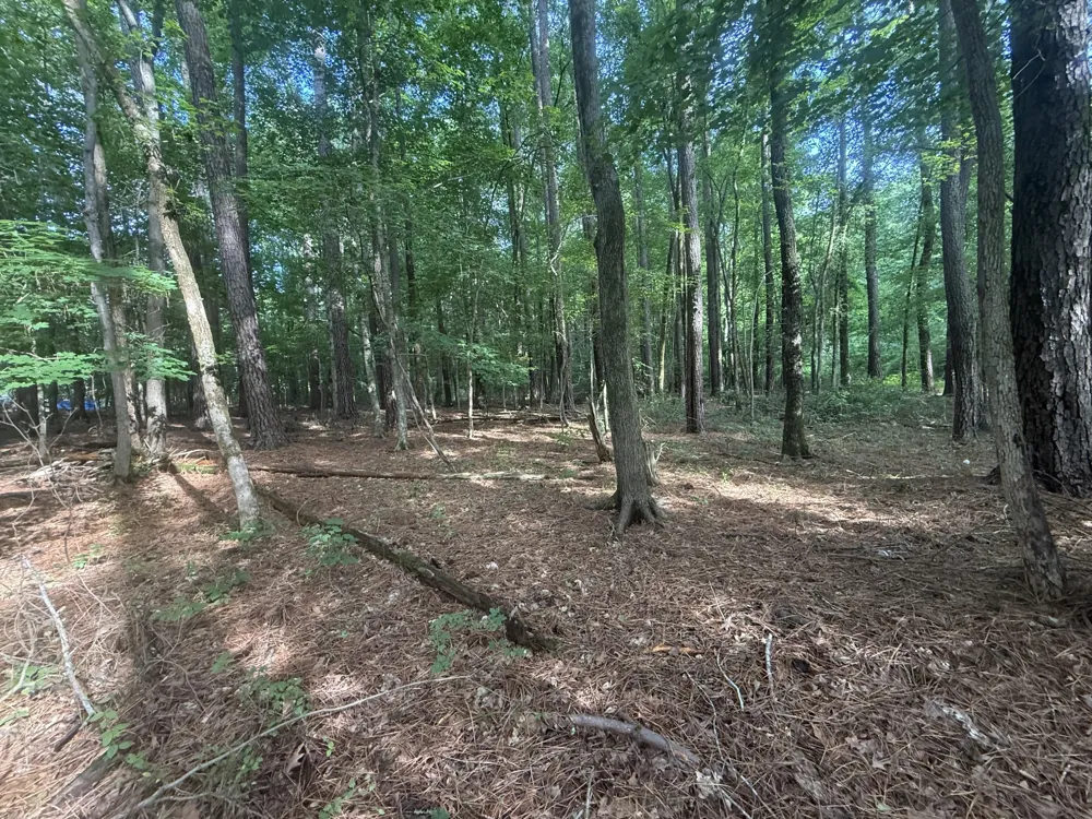 0 Caney Creek Rd Stewart, TN 37175