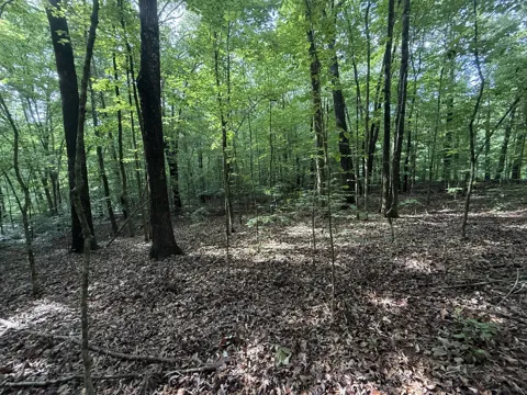 0 Caney Creek Rd