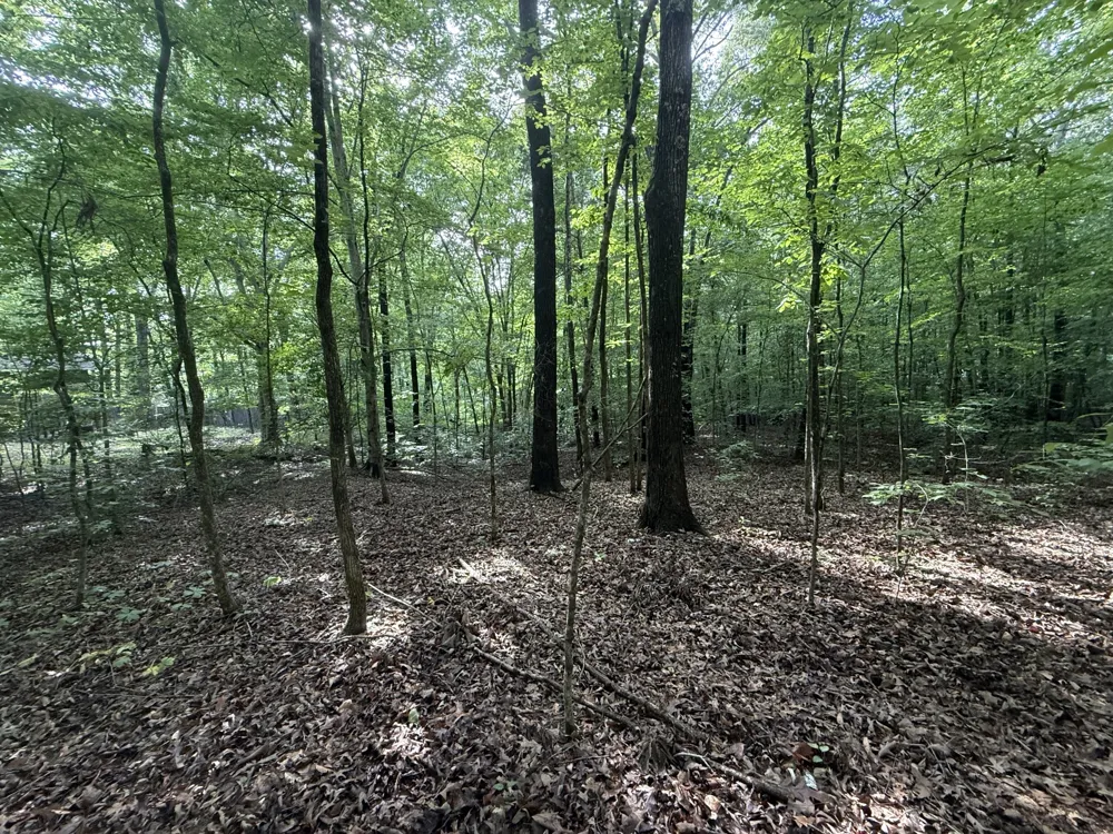0 Caney Creek Rd Stewart, TN 37175