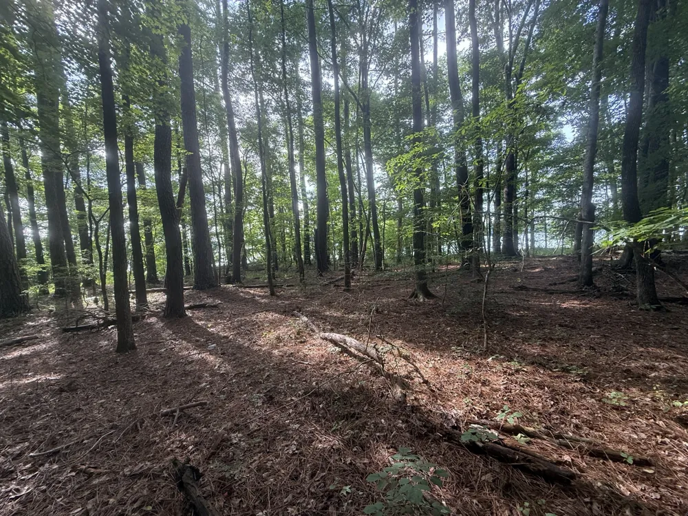 0 Caney Creek Rd Stewart, TN 37175