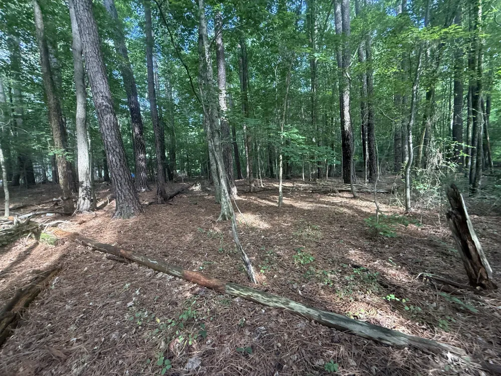0 Caney Creek Rd Stewart, TN 37175