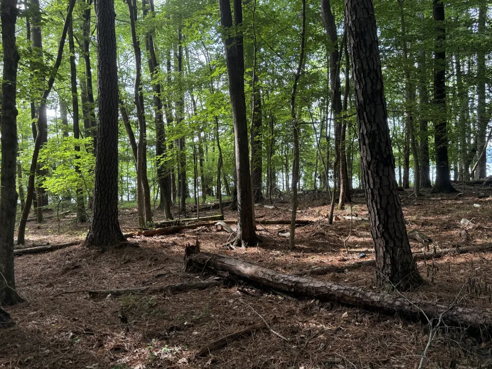 0 Caney Creek Rd Stewart, TN 37175