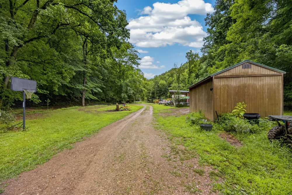 339 Wheeler Town Lane Bloomington Springs, TN 38545