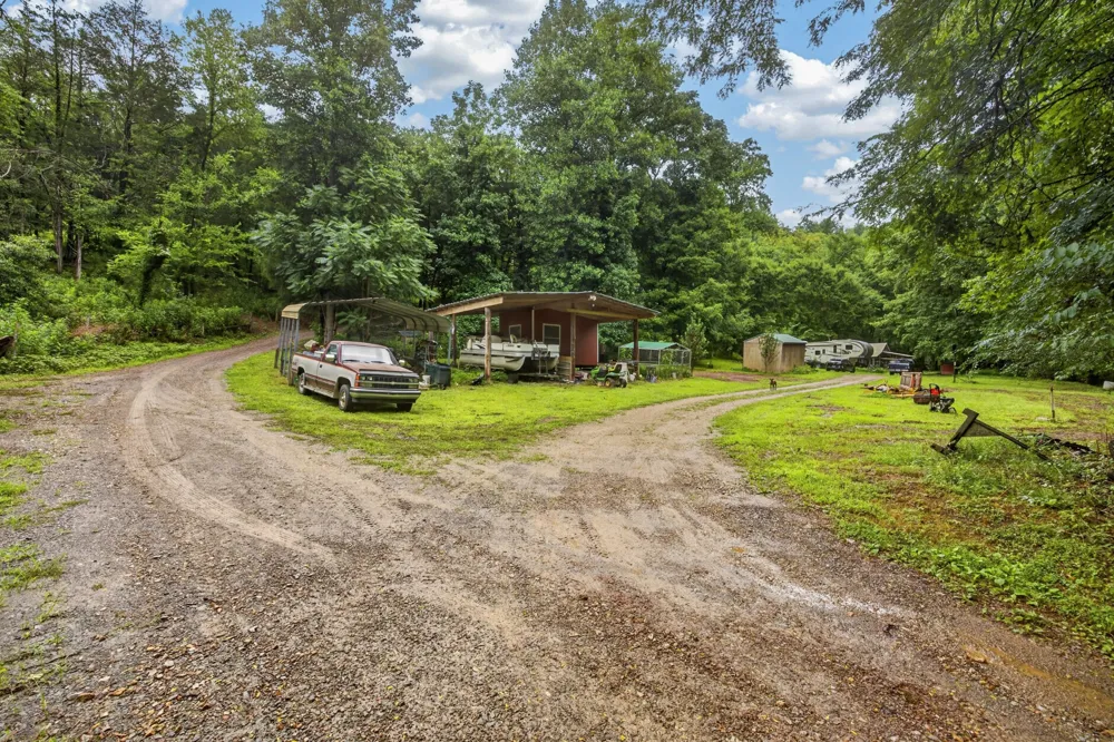 339 Wheeler Town Lane Bloomington Springs, TN 38545