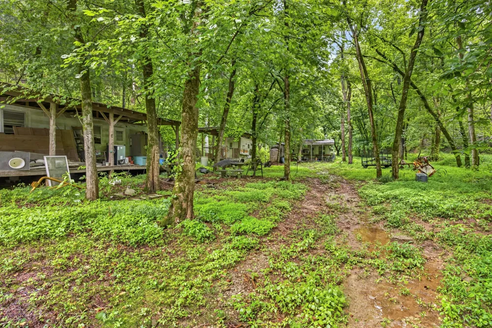 339 Wheeler Town Lane Bloomington Springs, TN 38545
