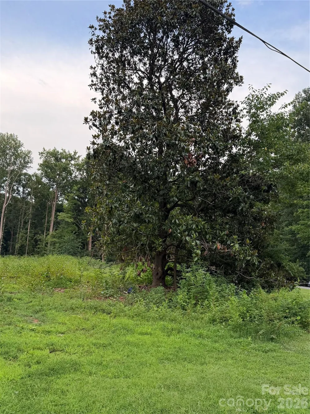 8251 Addison Drive Harrisburg, NC 28075