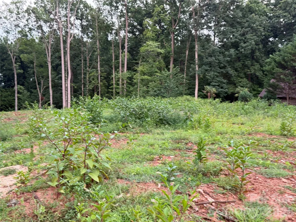 8251 Addison Drive Harrisburg, NC 28075