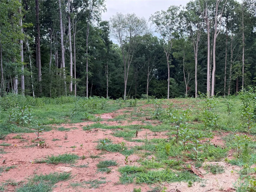 8251 Addison Drive Harrisburg, NC 28075
