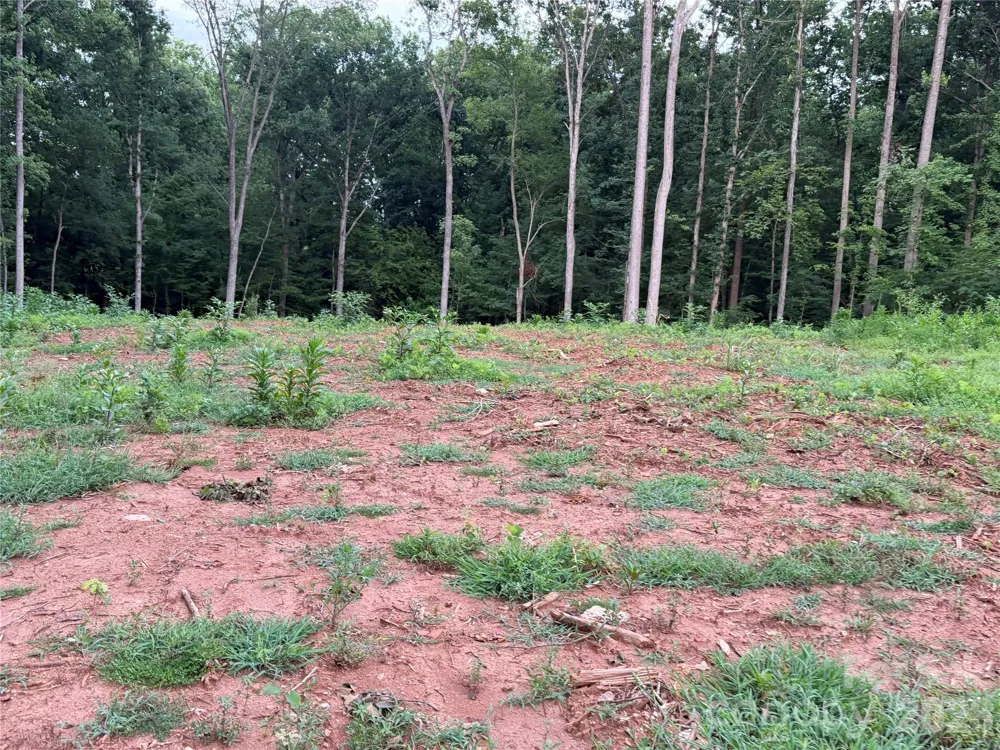 8251 Addison Drive Harrisburg, NC 28075