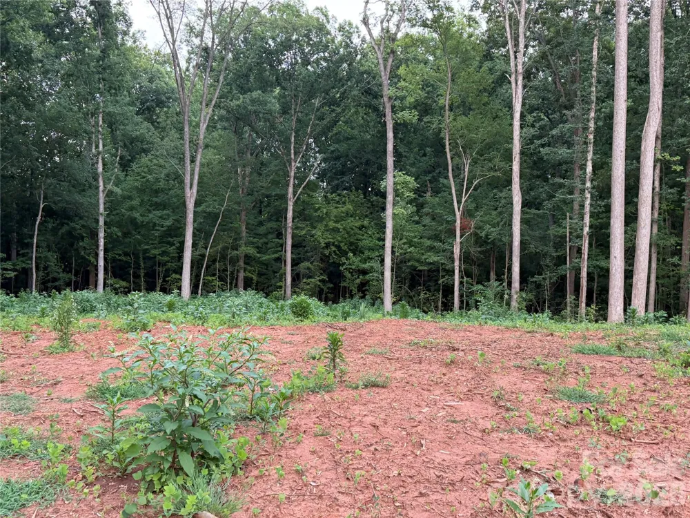 8251 Addison Drive Harrisburg, NC 28075