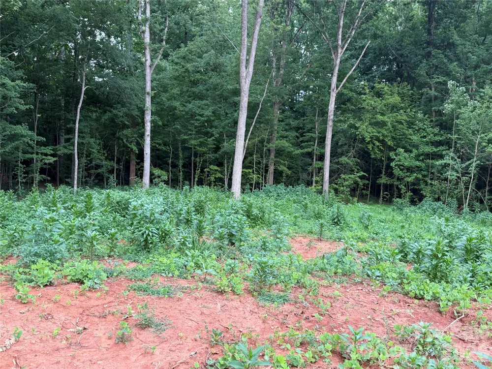 8251 Addison Drive Harrisburg, NC 28075