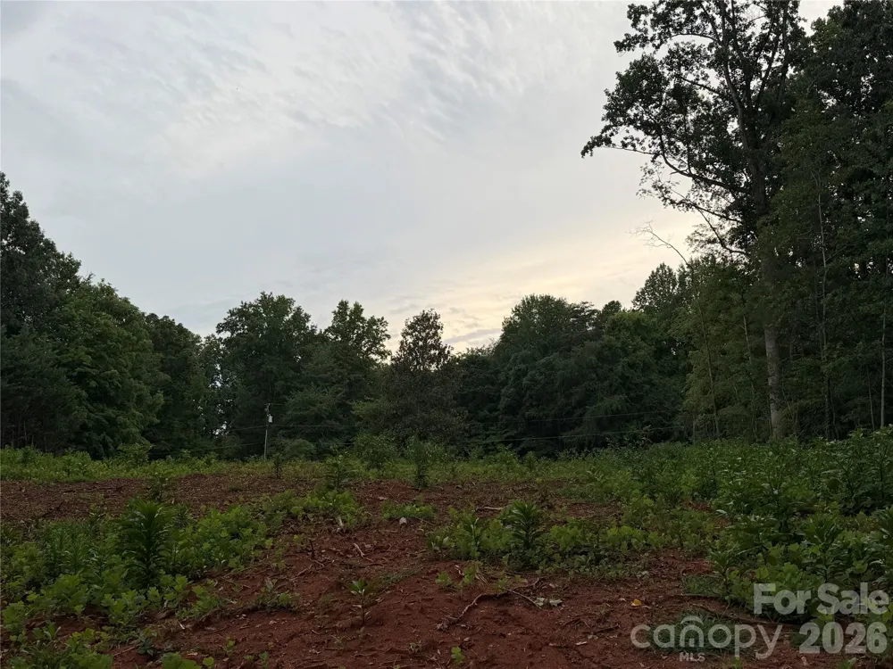8251 Addison Drive Harrisburg, NC 28075