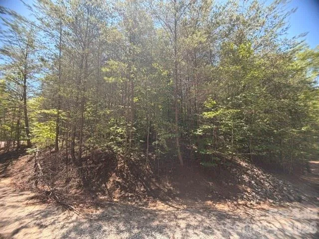 00 Sundance Drive #5-IV Nebo, NC 28761