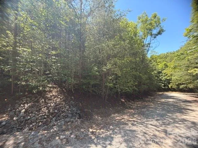 00 Sundance Drive #5-IV Nebo, NC 28761