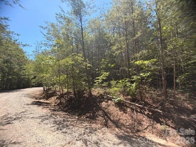 00 Sundance Drive #5-IV Nebo, NC 28761