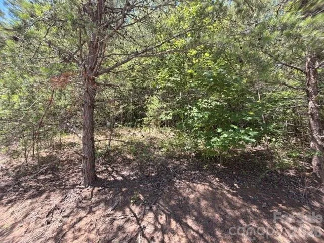 00 Sundance Drive #5-IV Nebo, NC 28761