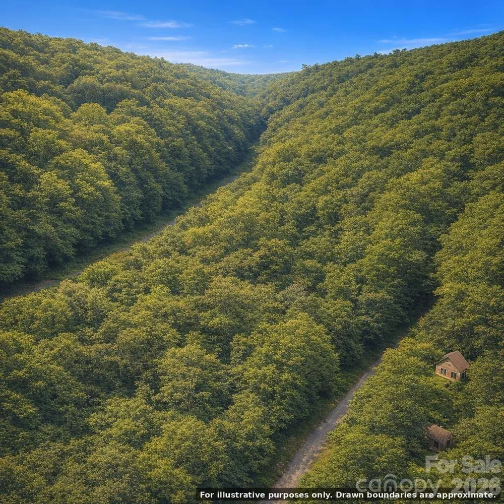 000 Overlook Drive #32 Burnsville, NC 28714