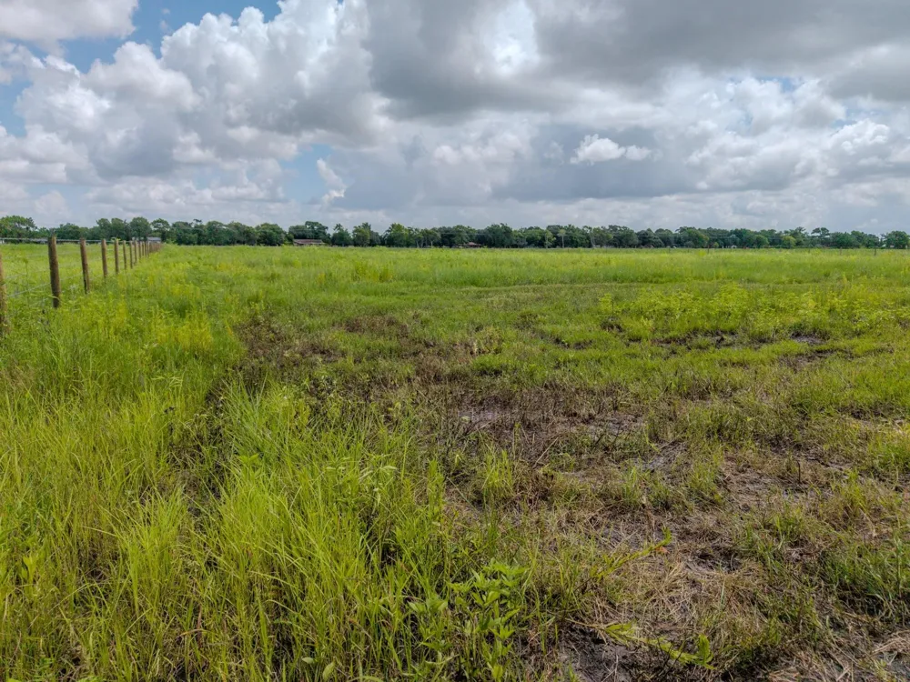 Fm 457, Tract 8 Bay City, TX 77414