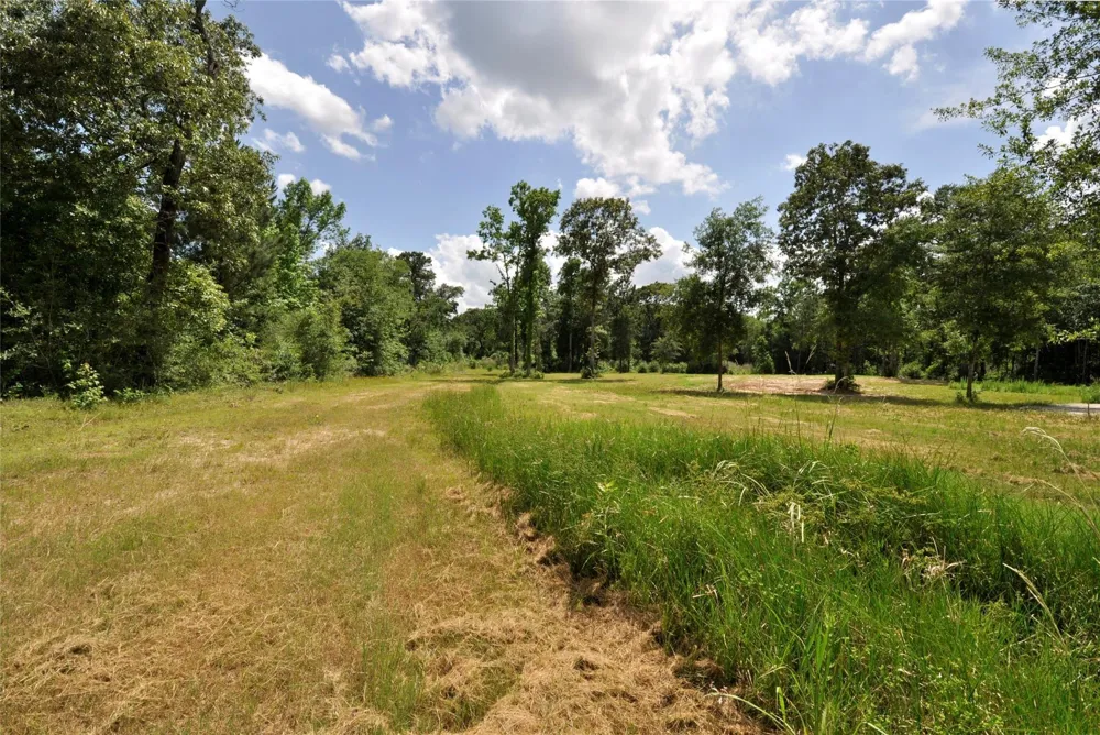 26150 Grand Pines Road Magnolia, TX 77355