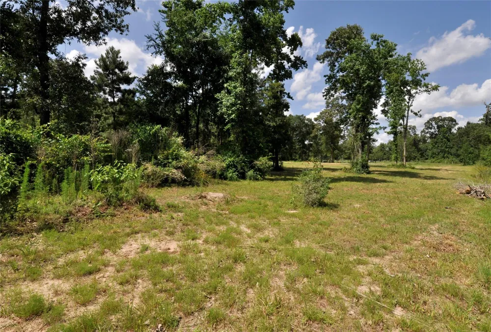 26150 Grand Pines Road Magnolia, TX 77355