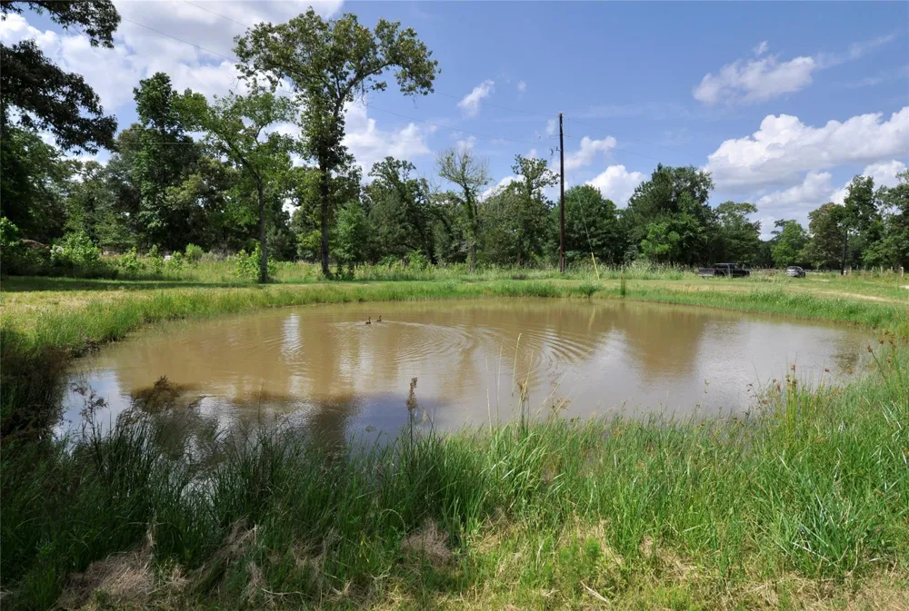 26150 Grand Pines Road Magnolia, TX 77355