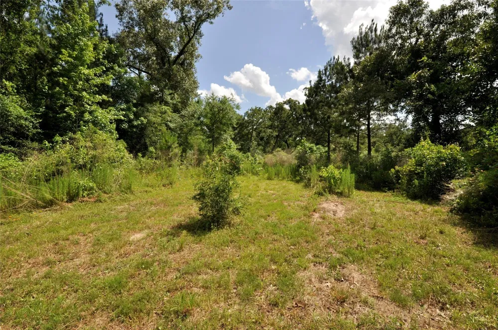 26150 Grand Pines Road Magnolia, TX 77355