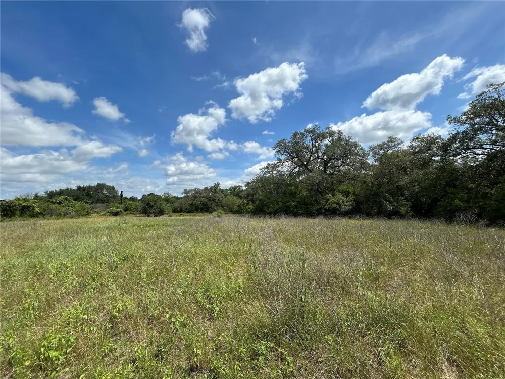 1098 Simmons Oakridge Drive Columbus, TX 78934
