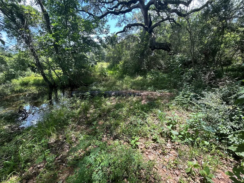 1098 Simmons Oakridge Drive Columbus, TX 78934