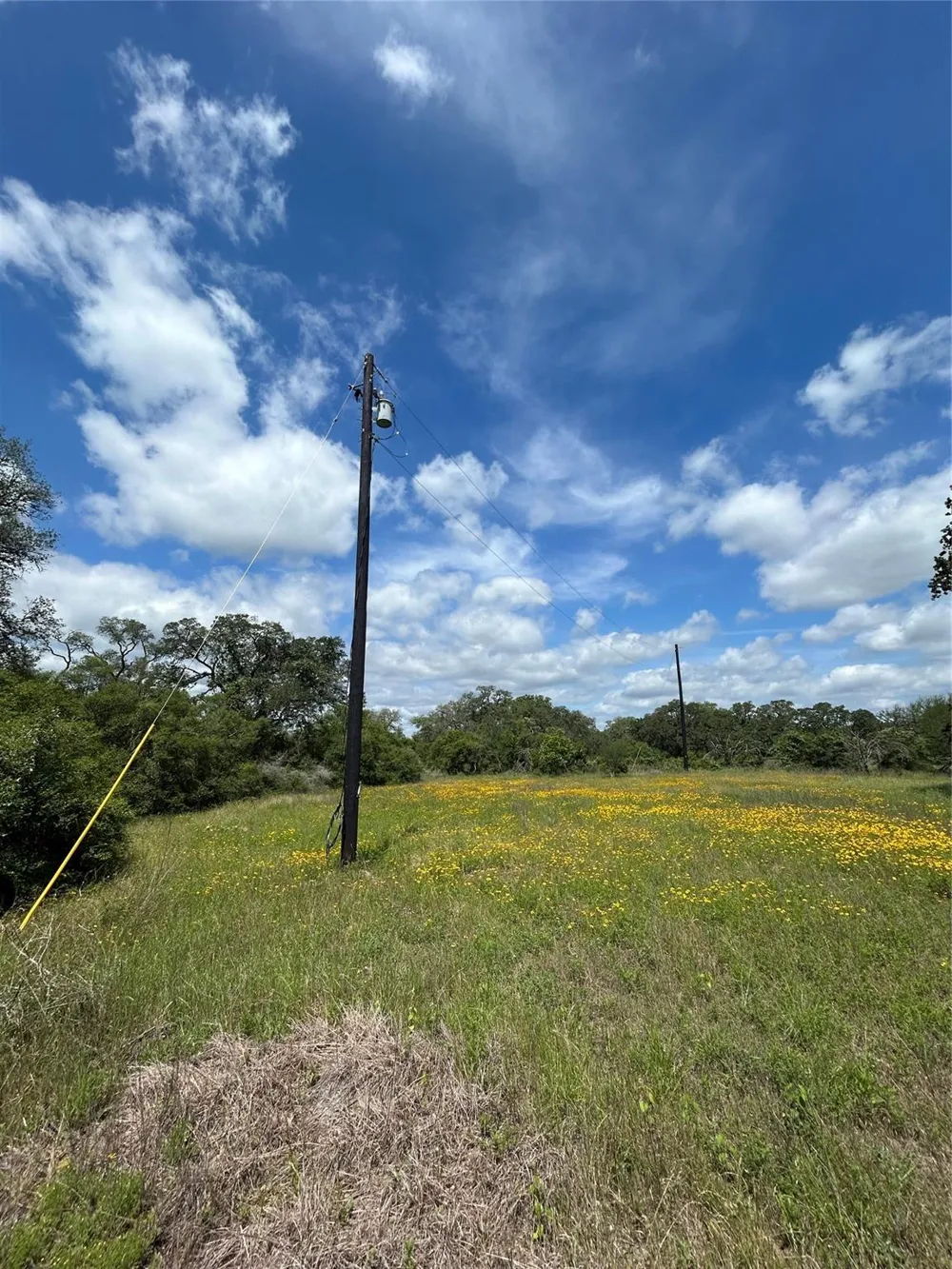 1098 Simmons Oakridge Drive Columbus, TX 78934