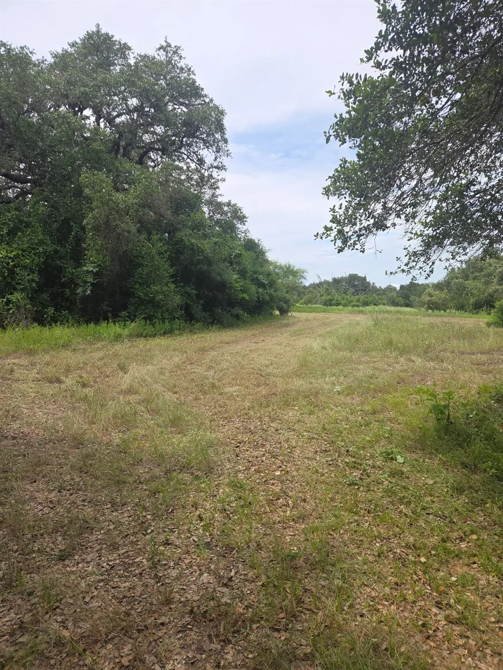 1098 Simmons Oakridge Drive Columbus, TX 78934