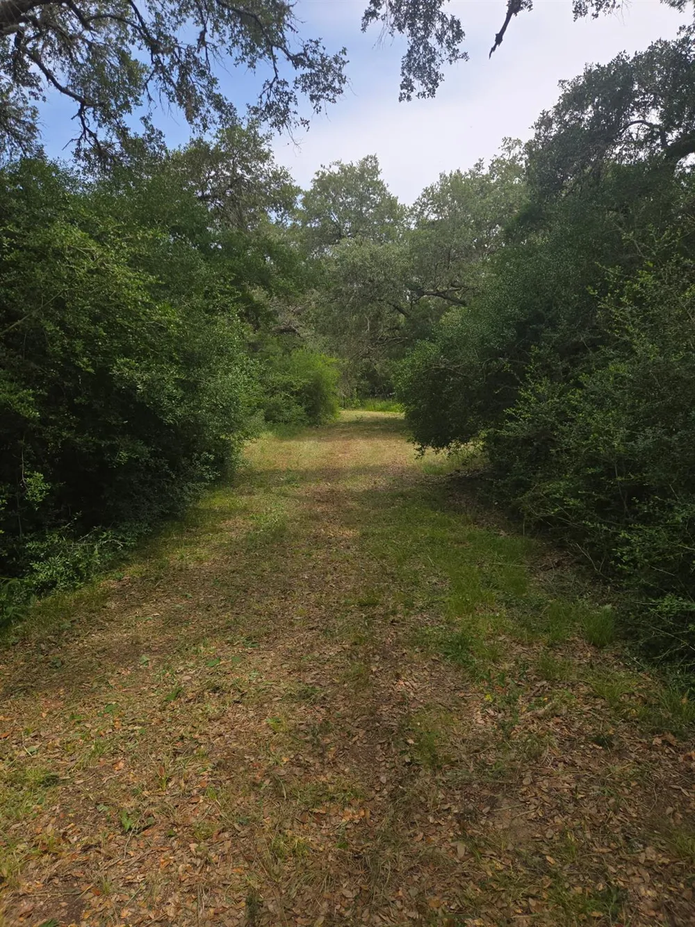 1098 Simmons Oakridge Drive Columbus, TX 78934