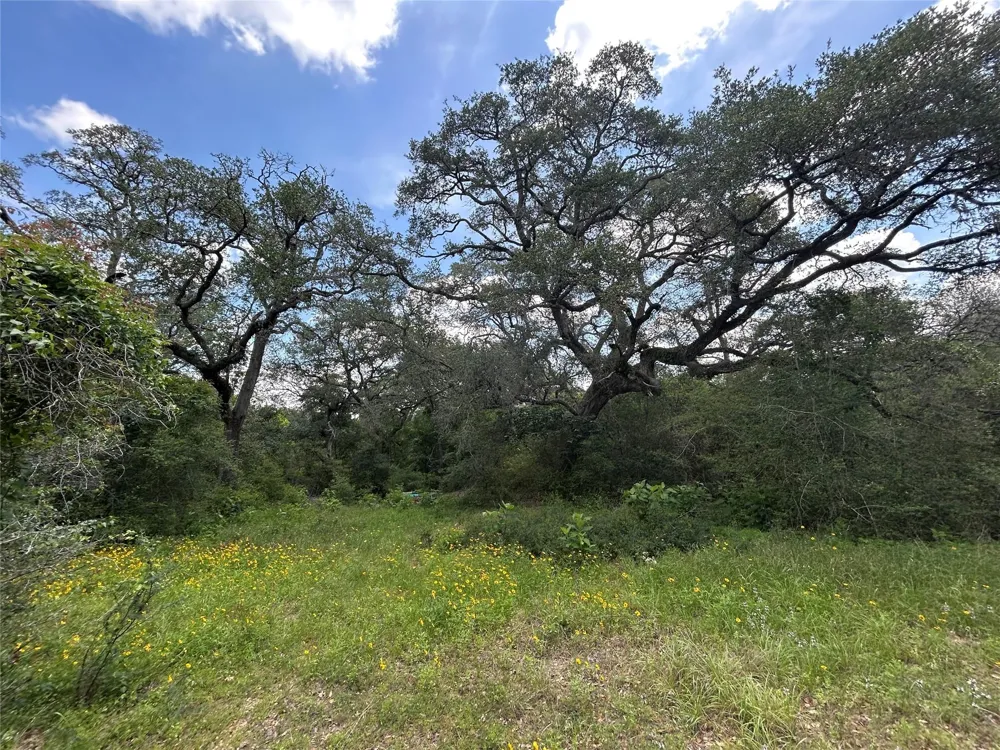 1098 Simmons Oakridge Drive Columbus, TX 78934