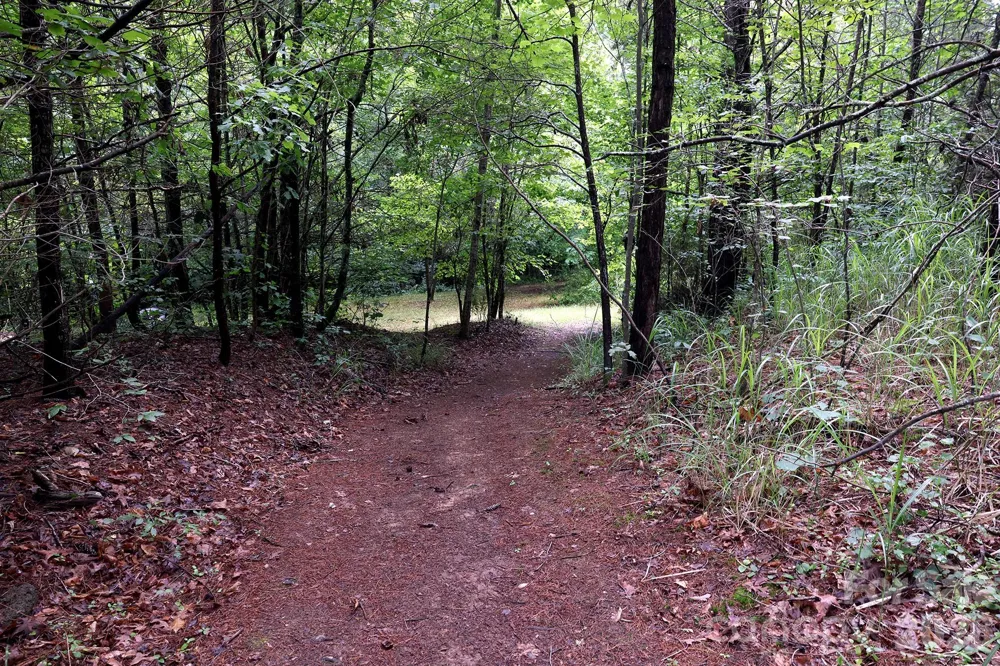 30 Double Brook Drive Weaverville, NC 28787