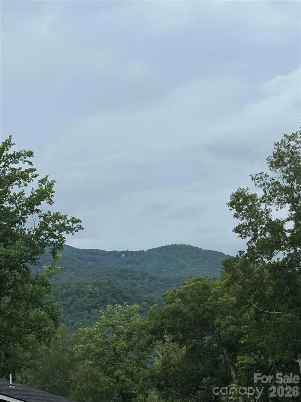 000 Twinbrook Lane #59 Maggie Valley, NC 28751