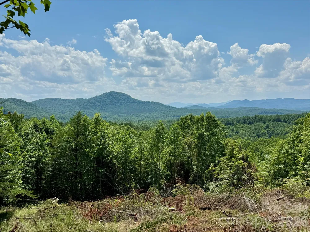 V/L Summit Trail #82 Nebo, NC 28761