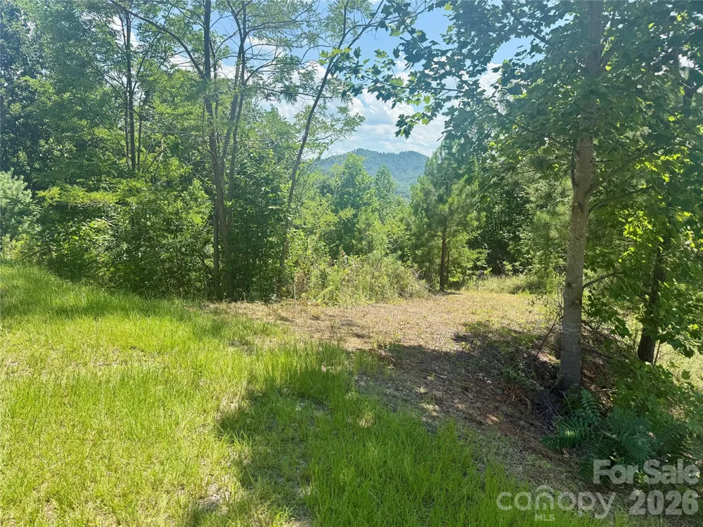 V/L Summit Trail #82 Nebo, NC 28761