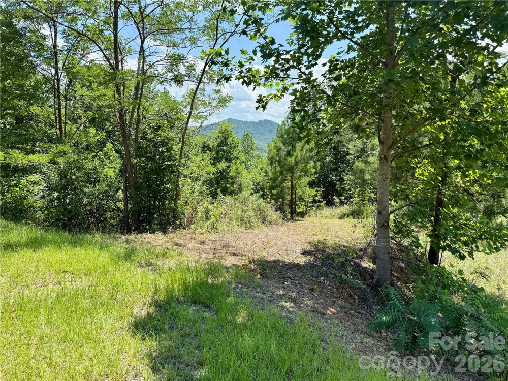 V/L Summit Trail #82 Nebo, NC 28761
