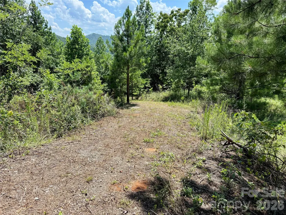 V/L Summit Trail #82 Nebo, NC 28761