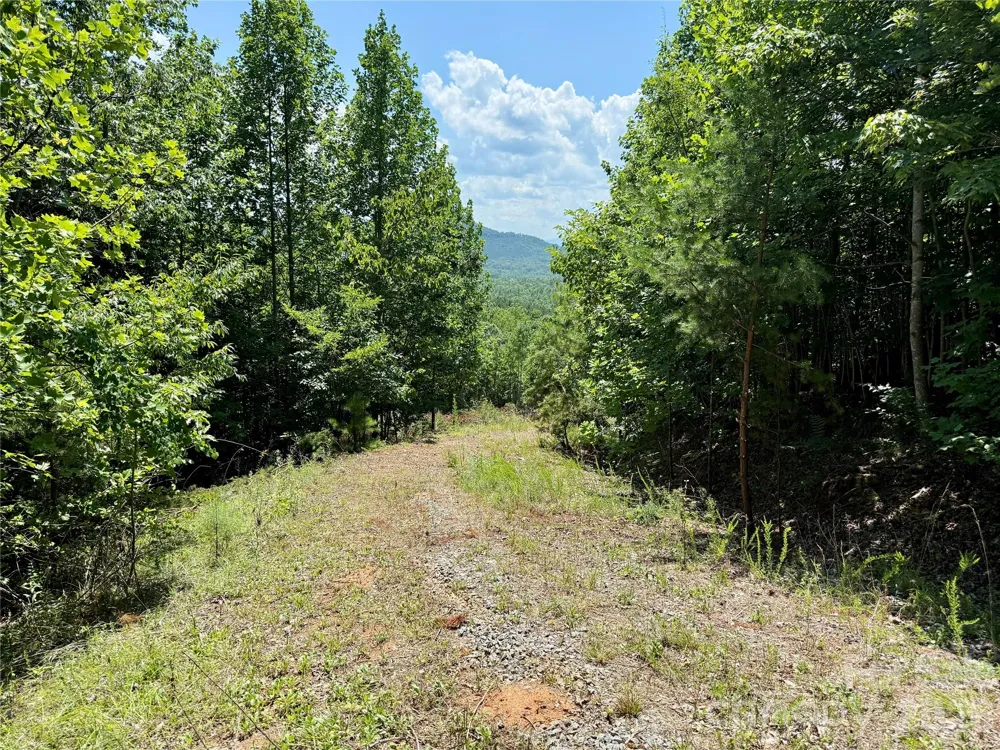 V/L Summit Trail #82 Nebo, NC 28761