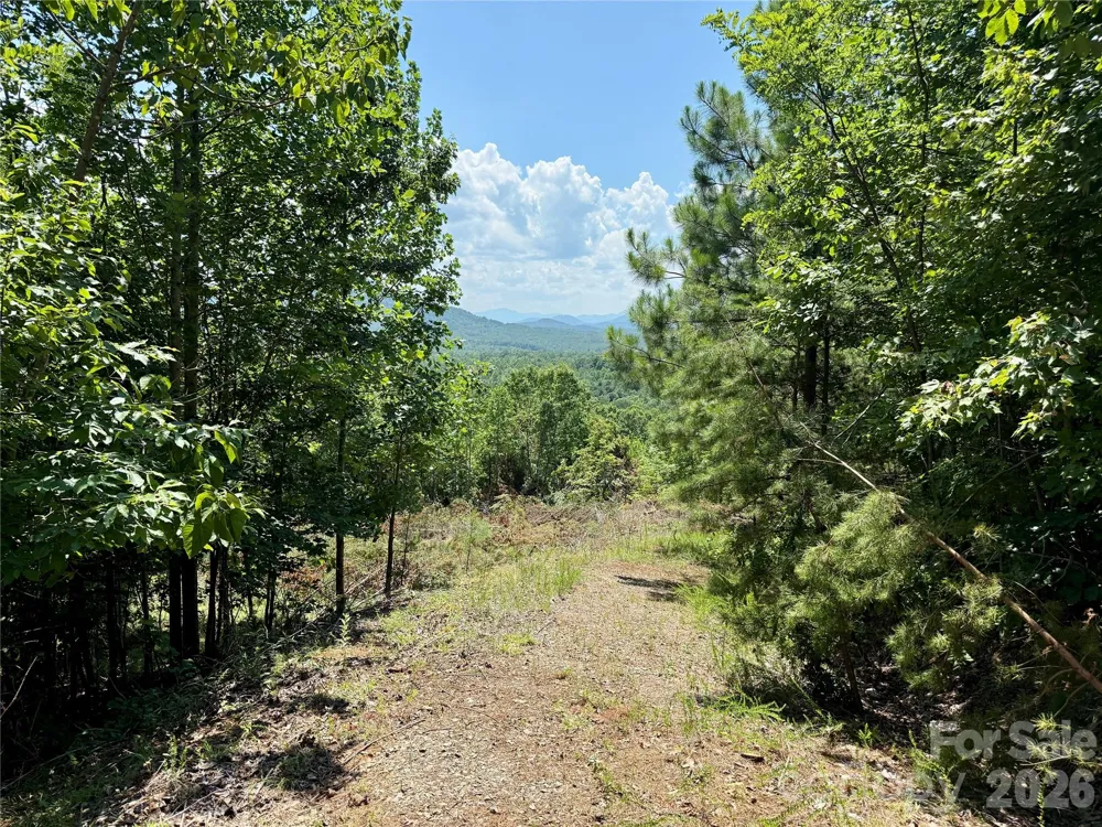 V/L Summit Trail #82 Nebo, NC 28761