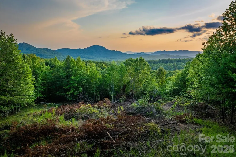 V/L Summit Trail #82 Nebo, NC 28761
