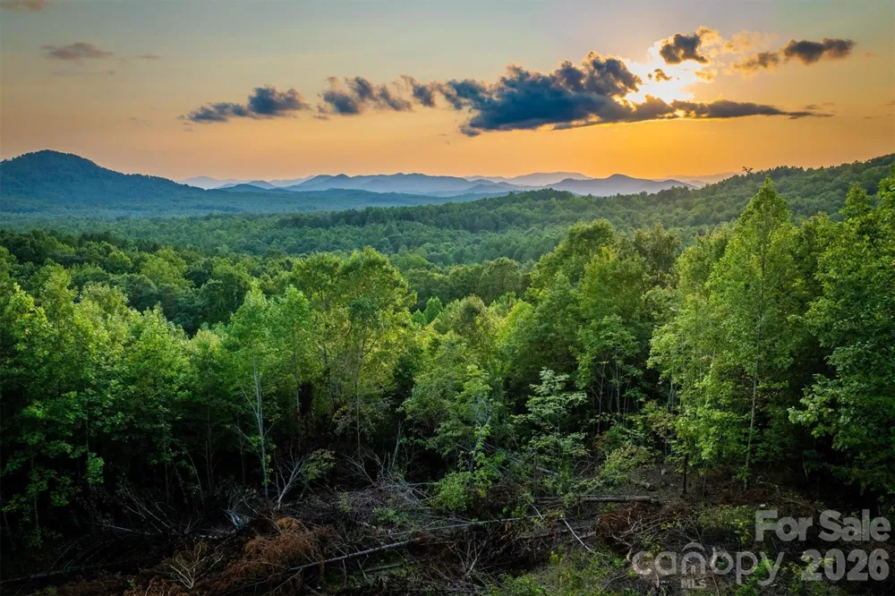 V/L Summit Trail #82 Nebo, NC 28761