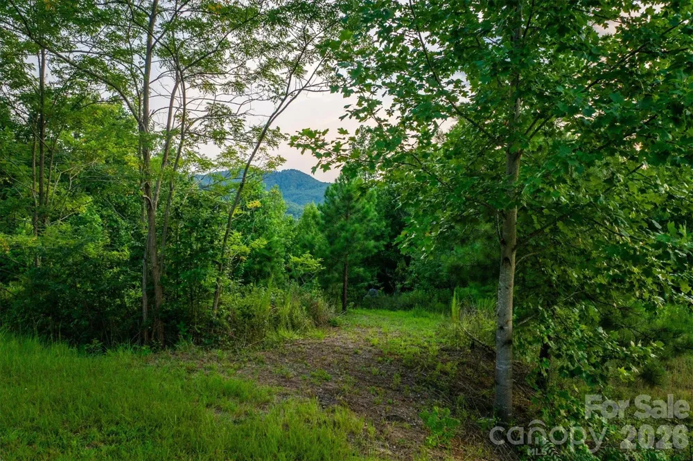 V/L Summit Trail #82 Nebo, NC 28761