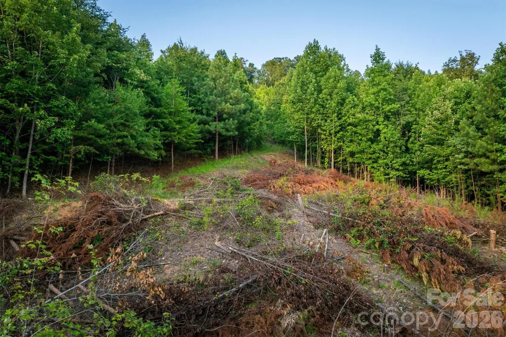 V/L Summit Trail #82 Nebo, NC 28761