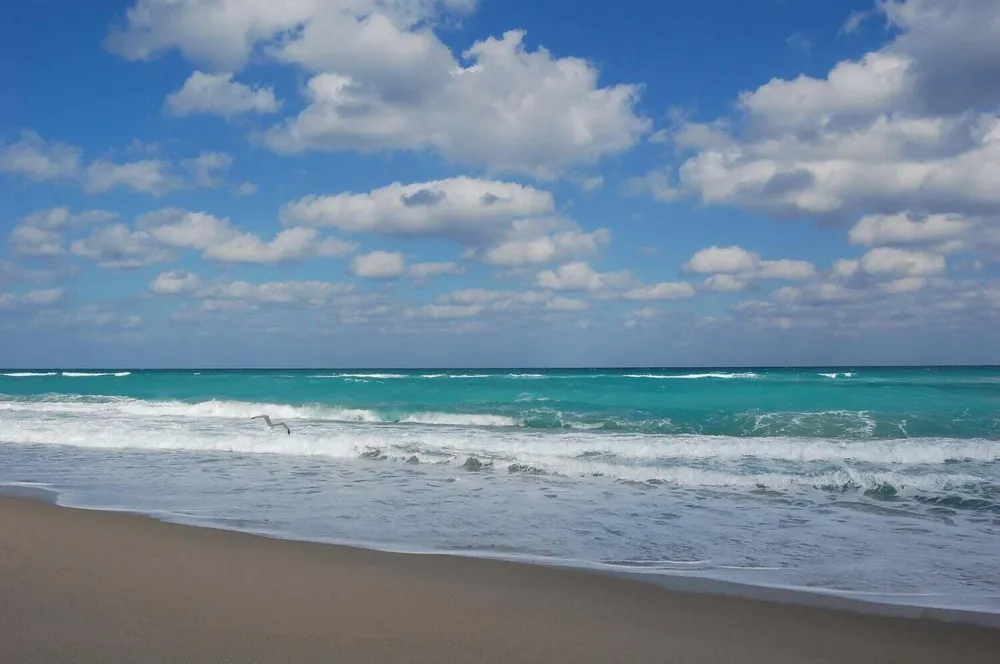 5540 Ocean Drive #8c Riviera Beach, FL 33404