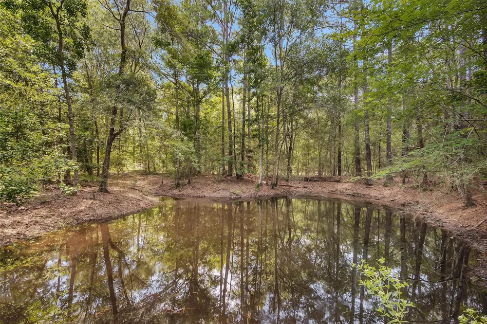 388 N G Smith Road Livingston, TX 77351